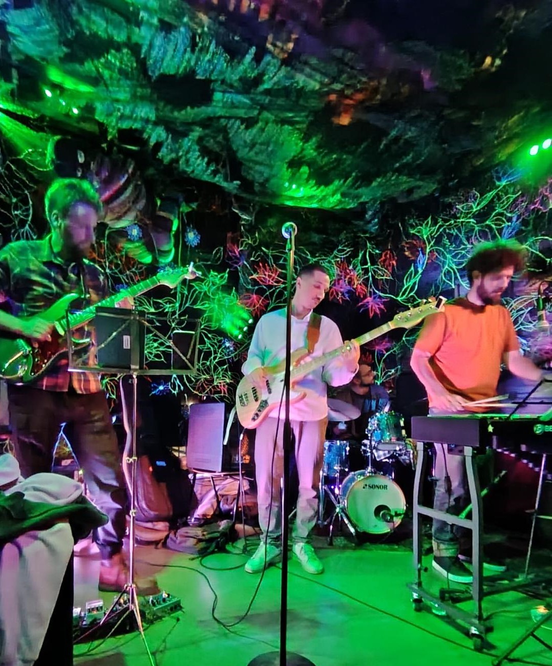 The Jazzholes kitara live